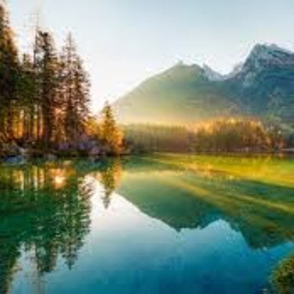 Meet your Posher, Mahima